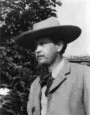 Författaren Hjalmar Bergman. 