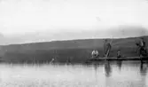Båttur på sjön Tåkern, 1911-06-07