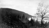 Utsikt från Måkberget, 1911-06-07