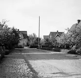 Villaområde i Hagaby, 1910-1920
