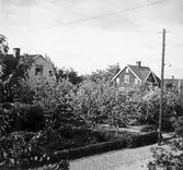 Villaområde i Hagaby, 1910-1920