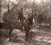 Militär på häst, 1890-tal