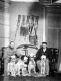 Militärer med hundar, 1910-1929