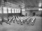 Gymnastik, 1910-1929