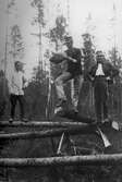 Nyhetsläsning i skogen, 1910-1929