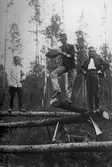 Nyhetsläsning i skogen, 1910-1929