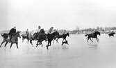 Militärer och hästar på is, 1920-1939
