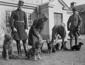 Militärer med hundar, 1920-1939