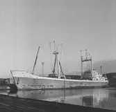 Fartyget Virgen de los reyes vid kaj
