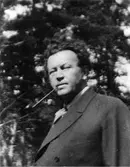 Författaren Hjalmar Bergman.