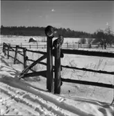 MARKOMRÅDE I JAKOBSBERG