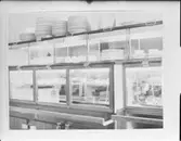 ICA - REPRODUKTIONER