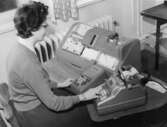 Stansning av hålkort som skall användas vid ränteuträkning. Dora
Johansson stansar med en IBM Card Punch.