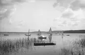 Segelbåtar i Tisaren, 1920-tal