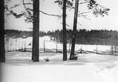 Vinterlandskap, 1920-tal