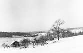 Vinter vid Tisaren, 1920-tal