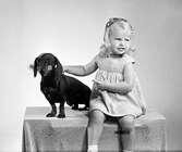 Flicka med hund, 1952