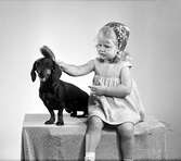 Flicka med hund, 1952