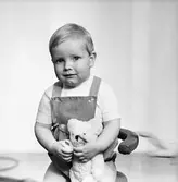 Pojke med nalle, 1962