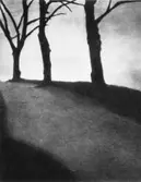 Tre skelett, 1930-tal