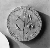 Medalj för kungliga vetenskapsakademin,Uppsala