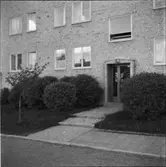 DIVERSE EXTERIÖRER OCH PARKBILDER