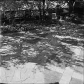 DIVERSE EXTERIÖRER OCH PARKBILDER