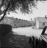 DIVERSE EXTERIÖRER OCH PARKBILDER