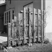 DIVERSE EXTERIÖRER OCH PARKBILDER