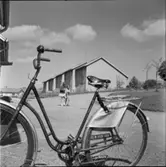 DIVERSE EXTERIÖRER OCH PARKBILDER