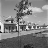 DIVERSE EXTERIÖRER OCH PARKBILDER