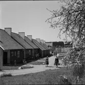 DIVERSE EXTERIÖRER OCH PARKBILDER