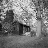 DIVERSE EXTERIÖRER OCH PARKBILDER