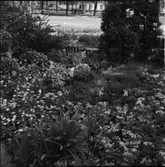 DIVERSE EXTERIÖRER OCH PARKBILDER