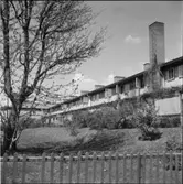 DIVERSE EXTERIÖRER OCH PARKBILDER