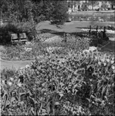 DIVERSE EXTERIÖRER OCH PARKBILDER