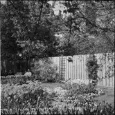 DIVERSE EXTERIÖRER OCH PARKBILDER