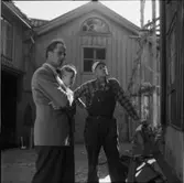 DIVERSE EXTERIÖRER OCH PARKBILDER