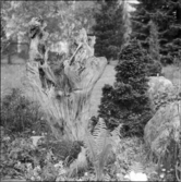 YNGVE AHLBOMS VILLA
EXTERIÖR, INTERIÖR, TRÄDGÅRD