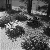 FOLKHÖGSKOLA
EXTERIÖR, INTERIÖR