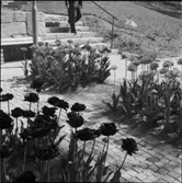 FOLKHÖGSKOLA
EXTERIÖR, INTERIÖR