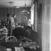 RINGBARER VID TEGELBACKEN