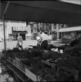 ÅRSTA CENTRUM
EXTERIÖR, INTERIÖR