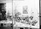 Skyltfönster till Rohloffs bokhandel, april 1958