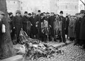 Pälsar från Småländska Viltskinnslagret, januari 1934