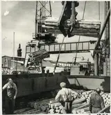 Västerås, Munkängen.
Den första lastningen med polygripskopa, 1952.