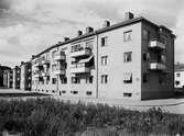Schantzgatan, 1943