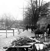 Marknad på Fisktorget, 1920-tal