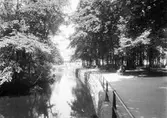 Slottsparken, 1940-tal