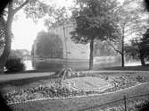 Kaktusplantering i Centralparken, 1920-tal